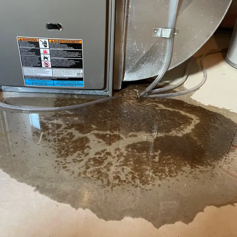 Appliance Leak Cleanup in Center, ND